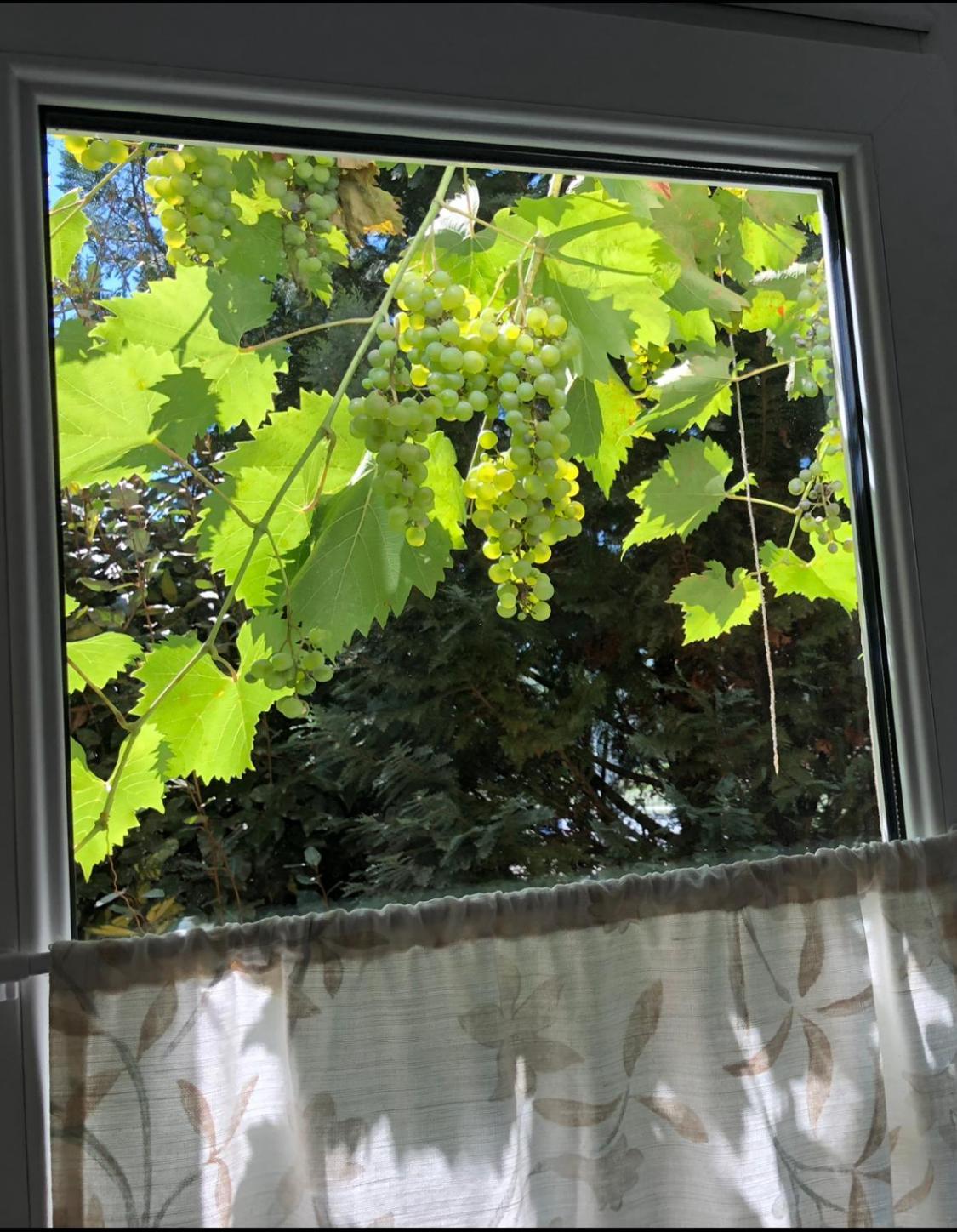 Apartment Mosel-erker Reil